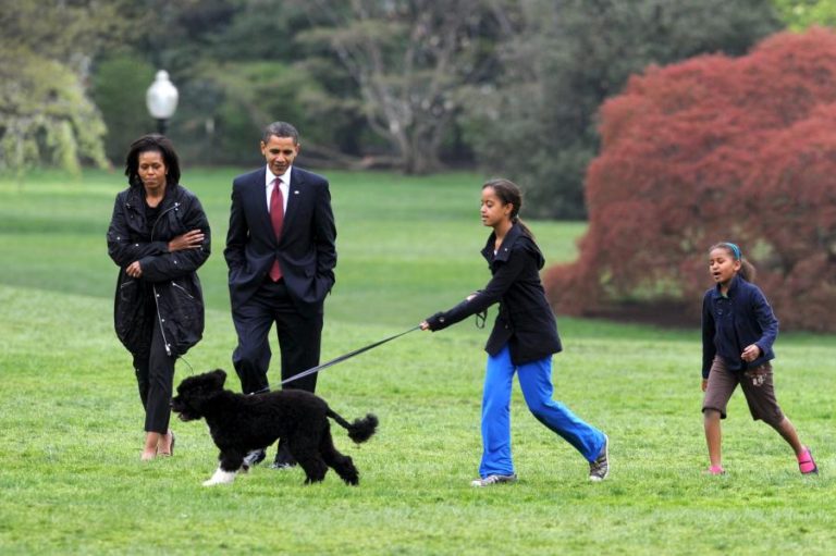 Morreu Bo, o cão de água português do ex-presidente dos EUA Barack Obama