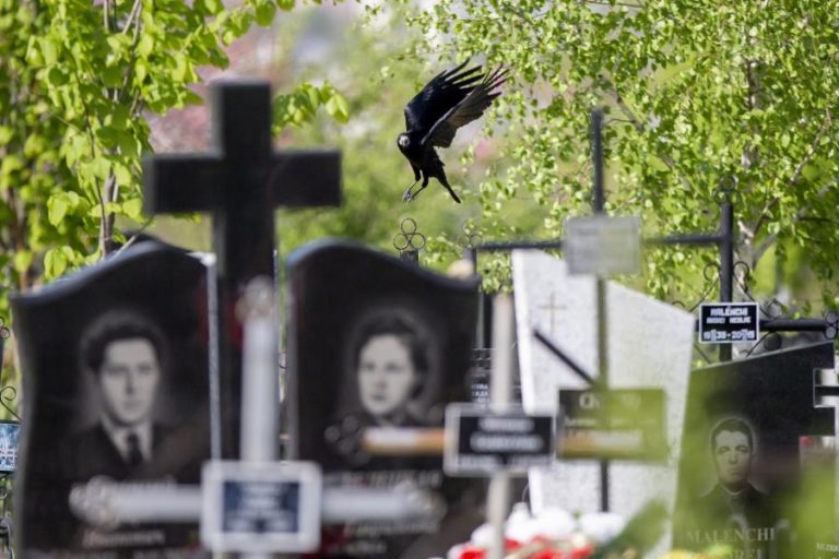 Covid-19: Pandemia matou mais de 3,38 milhões de pessoas em todo o mundo