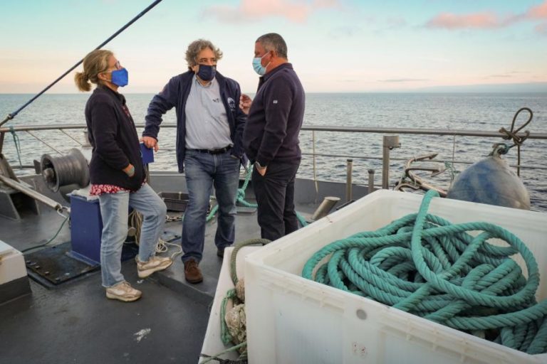 Pesca da sardinha reabre hoje após quase sete meses