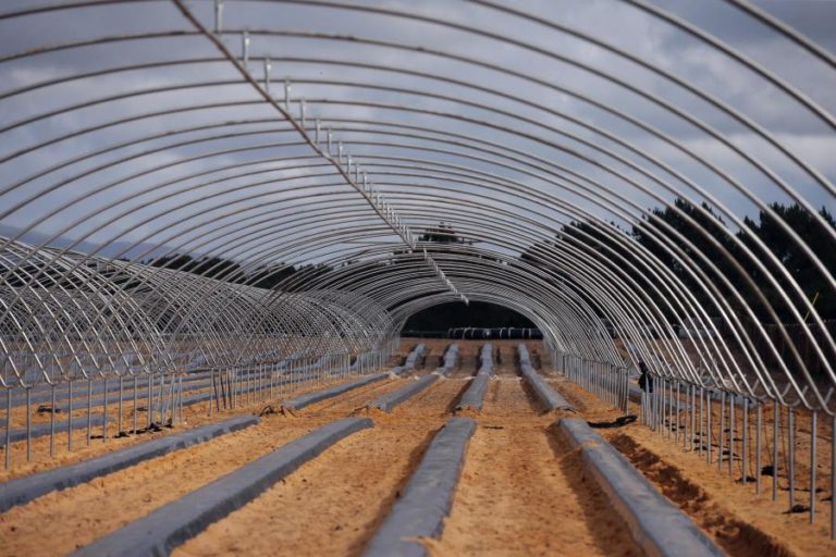 No Sudoeste, turismo e agricultura podiam viver em paz mas “o paraíso acabou”