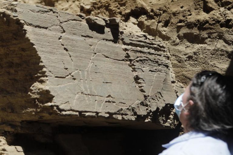 Investigadores admitem ter descoberto no Côa o maior painel de arte rupestre ao ar livre
