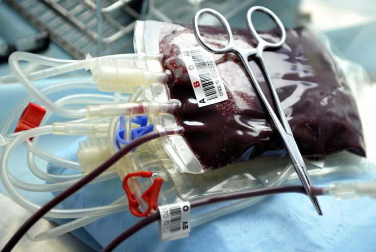Instituto Nacional de Sangue angolano recebe diariamente mais de 30 solicitações