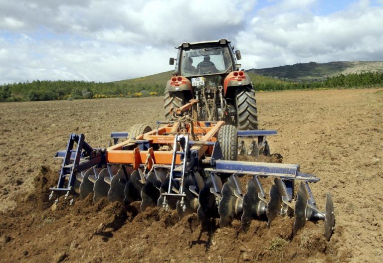 Covid-19: Agricultores criticam “irracionalidade” das medidas de apoio no setor