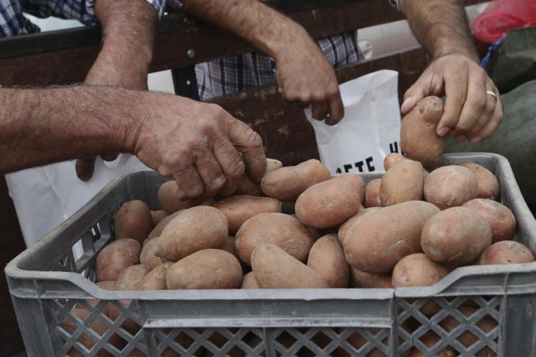 Associação lança campanha de promoção da batata portuguesa com selo comum
