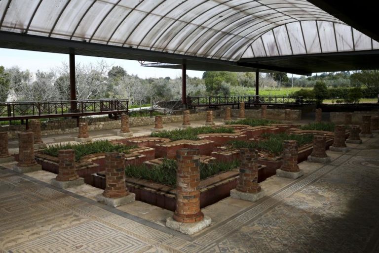 Património Cultural realça papel da Universidade nas escavações de Conímbriga