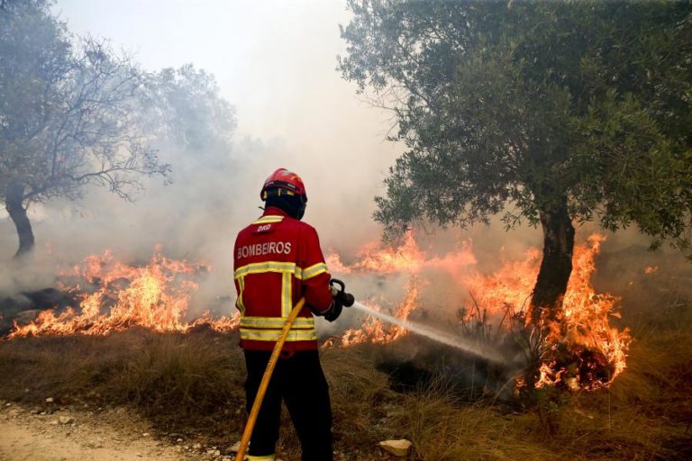 Oito meios aéreos e 170 bombeiros combatem desde as 15:45 um fogo na Sertã