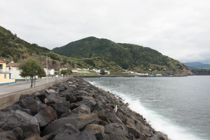 23088264.jpg