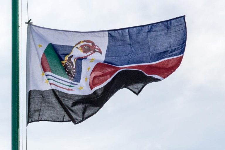 Antigos guerrilheiros da Renamo vão ser alfabetizados no centro de Moçambique