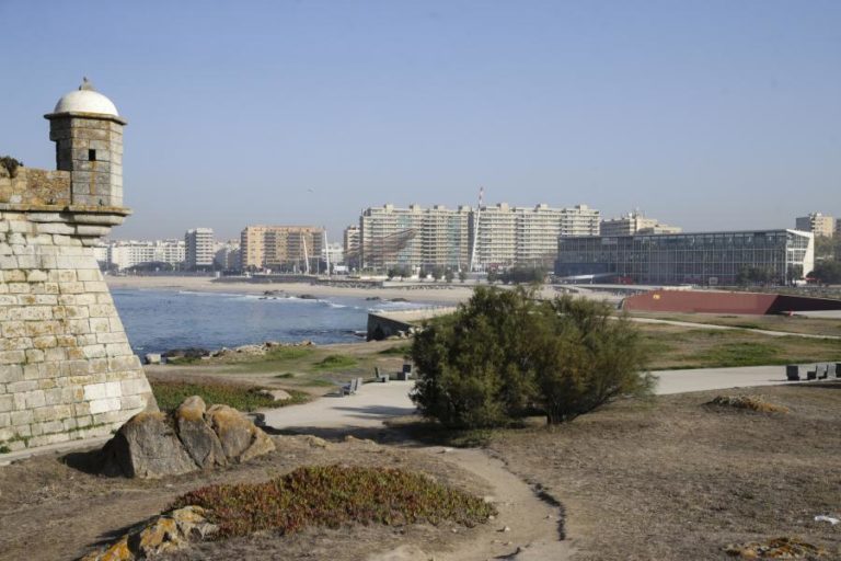 Matosinhos assume contratos com empresa de presidente da APDL e só um por ajuste direto