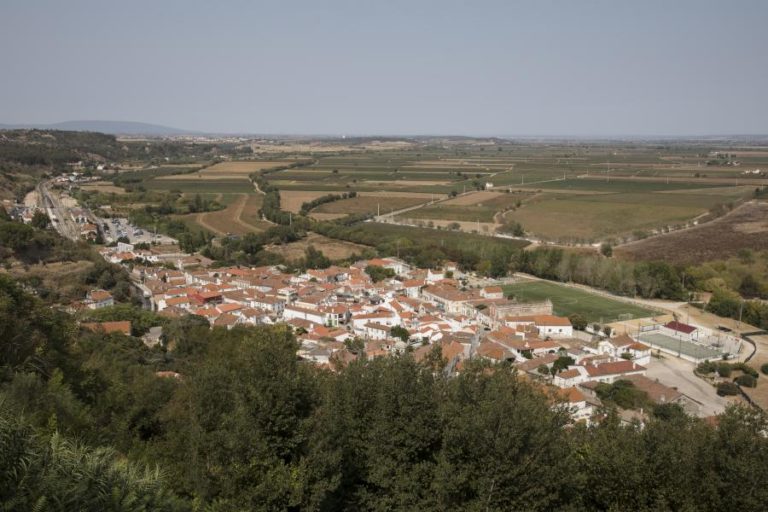 Livro traz “diferentes olhares”, alguns inéditos, sobre Arte, História e Património de Santarém