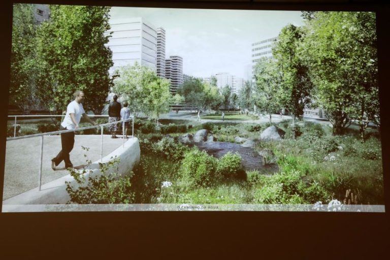 Aberto ao público novo espaço verde em Lisboa com mais de 1000 árvores plantadas