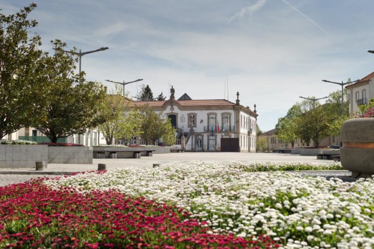 Mau tempo: Chuva intensa e granizo causam inundações e quedas de árvore em Vila Real