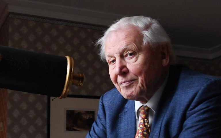 G7: David Attenborough pede medidas urgentes para combater alterações climáticas 