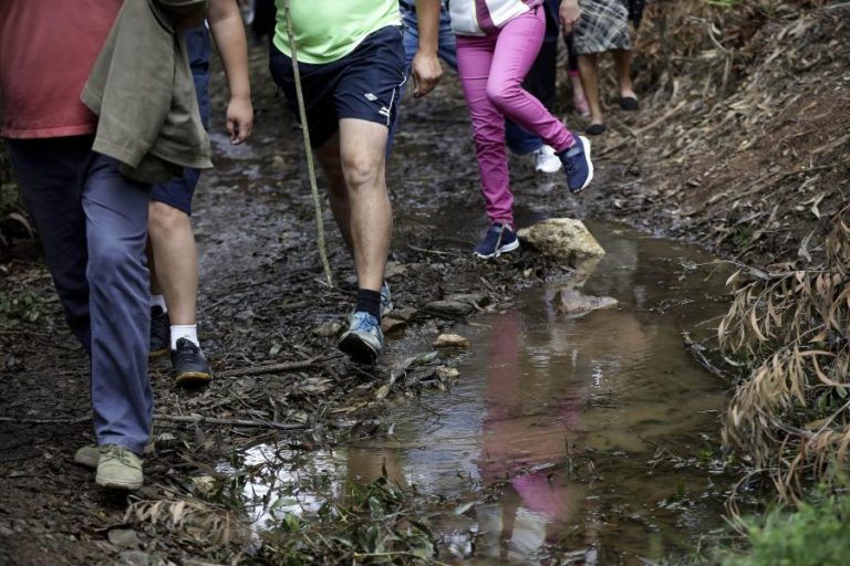 Coimbra Business School dá formação a líderes durante caminhada pela natureza