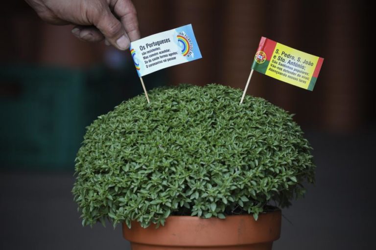 Covid-19: Gaia negou pedidos para festejos de São João e faz apelo à contenção