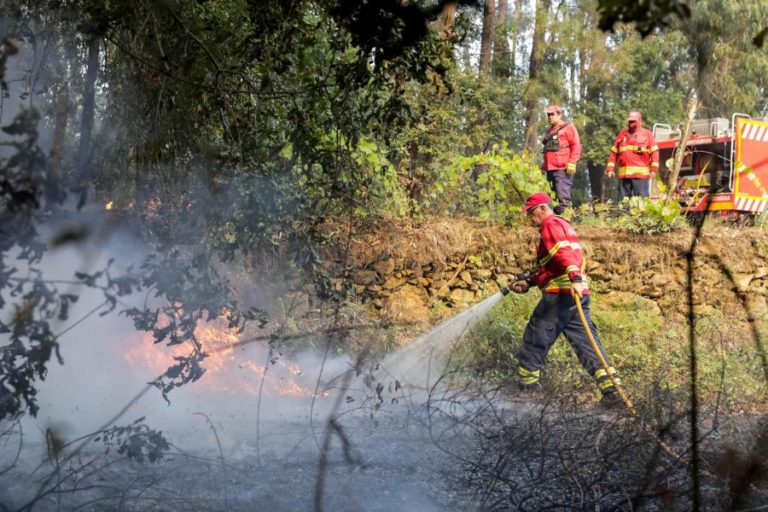 Concelho de Portimão no distrito de Faro em risco máximo de incêndio