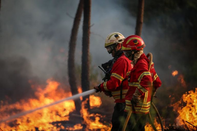 Incêndios: Mais de 100 bombeiros e três meios aéreos combatem fogo em Ponte de Sor