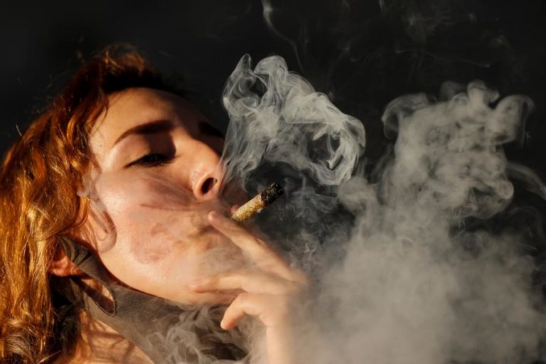 Iniciativa Liberal propõe “legalização responsável” da canábis para consumo pessoal