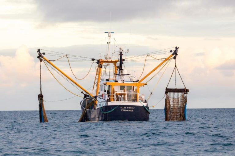 Brexit: Bruxelas e Londres chegam a acordo de princípio sobre pescas