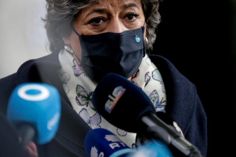 Ana Gomes vai denunciar a Bruxelas eventuais irregularidades na atribuição de fundos à agricultura