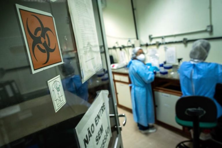 Fungo causa alta mortalidade em pessoas com HIV na amazónia brasileira