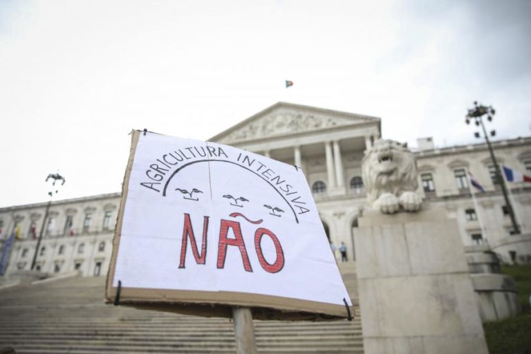 Dezenas de pessoas protestam junto ao parlamento contra agricultura intensiva no sudoeste