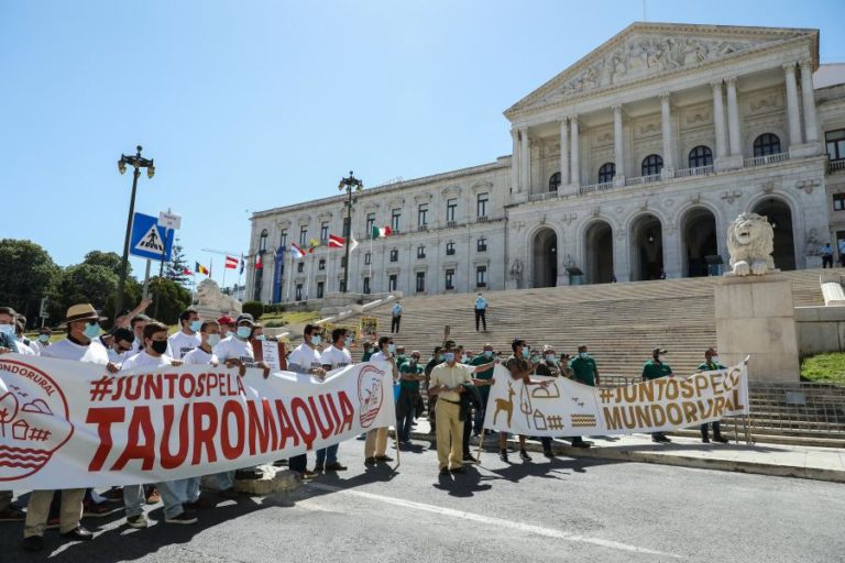 Centenas de manifestantes concentram-se em Lisboa “pelo mundo rural”