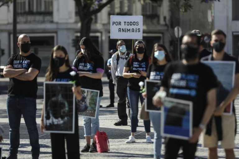 Cerca de cem pessoas participam em marcha para defender direitos dos animais