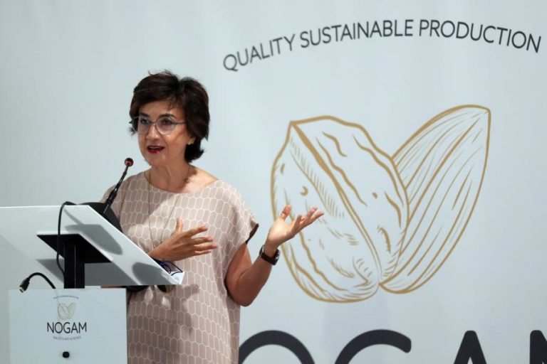 Ministra da Agricultura destaca contributo do setor agroalimentar para economia