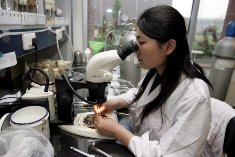 China e EUA lideram nos gastos com desenvolvimento científico