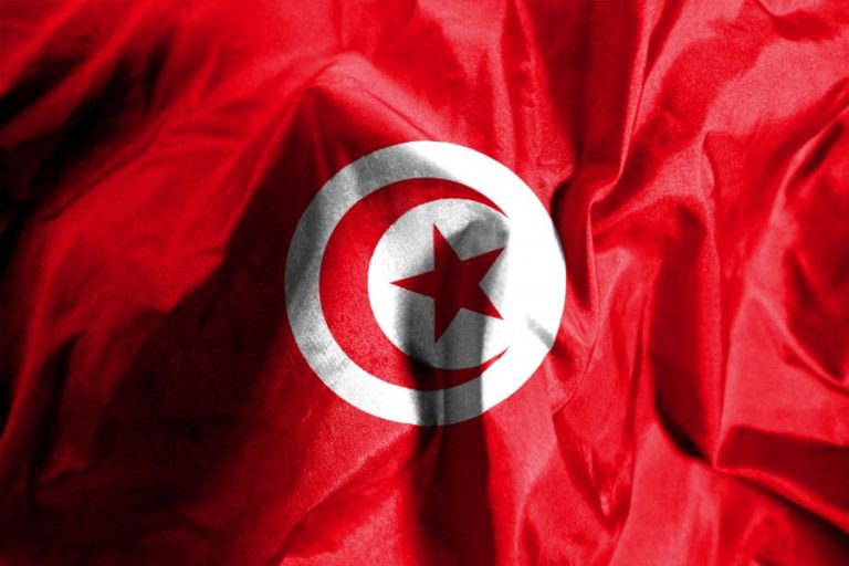 Covid-19: Tunisinos em França chamados a apoiar sistema de saúde do seu país