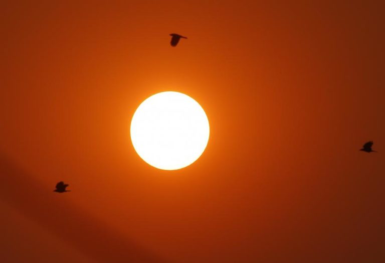 América do Norte viveu este ano o mês de junho mais quente de sempre