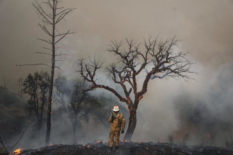 Incêndios: Fogo de Monchique/Portimão dado como extinto e em fase de vigilância