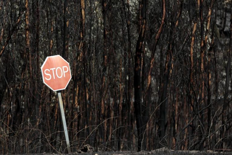 Em Portimão e Monchique contam-se prejuízos depois de 2.000 hectares ardidos