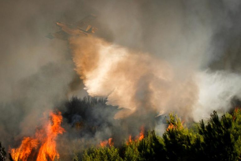 Cerca de 50 concelhos do interior Norte, Centro e Algarve em risco máximo de incêndio
