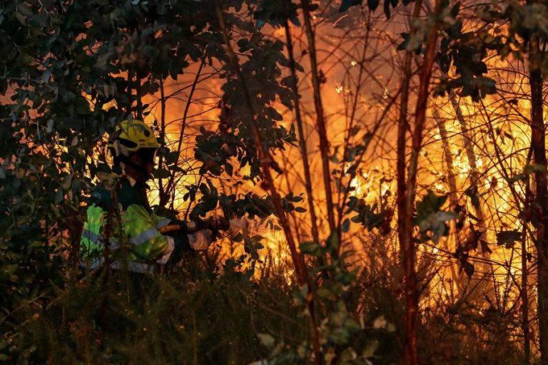Portugal com 47 concelhos do interior Norte, Centro e Algarve em risco máximo de incêndio