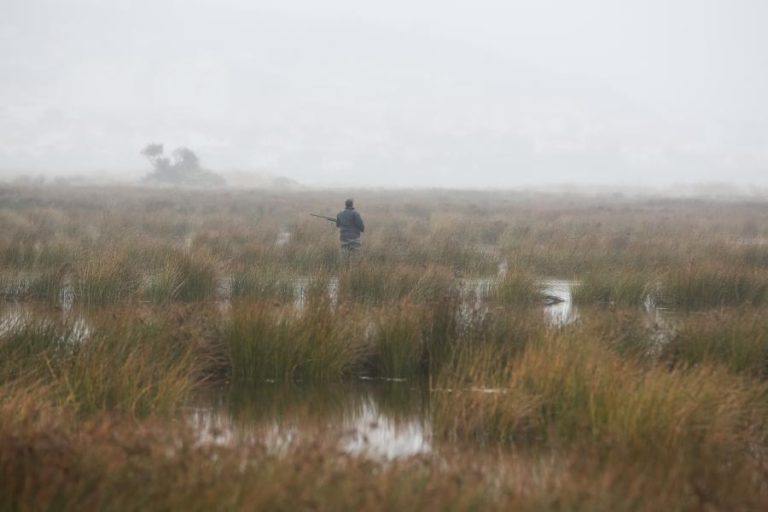 Caçadores repudiam proibição da caça à rola-comum e exigem compensações