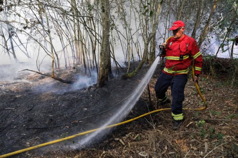 Incêndio que deflagrou no concelho de Mogadouro foi dado com ” dominado”