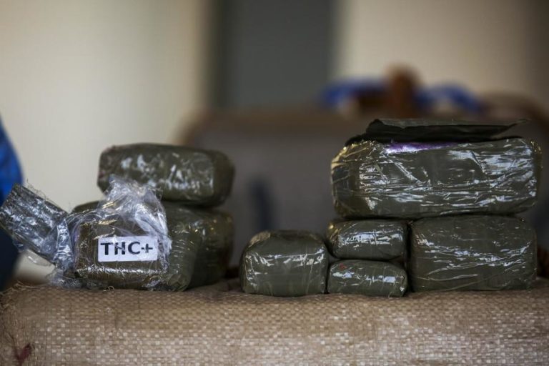 Operação da PSP do Porto terminou com 20 detidos e apreensão de 14 quilos de haxixe