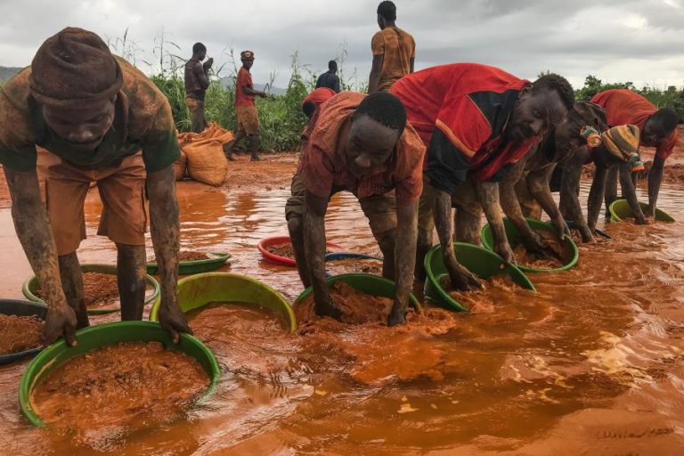Tribunal manda prender 42 garimpeiros que ameaçavam Parque da Gorongosa em Moçambique