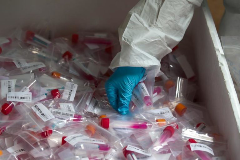 Covid-19: Guiné-Bissau regista 14 novos casos