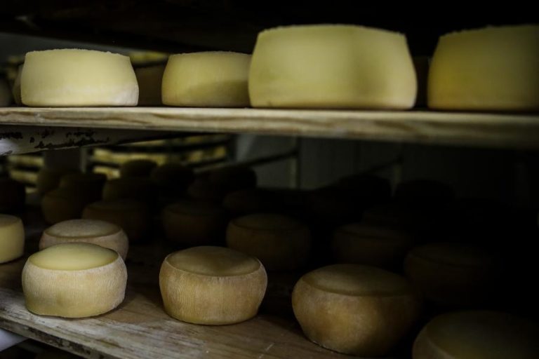 Produtores de queijo veem na “bazuca” oportunidade de internacionalização