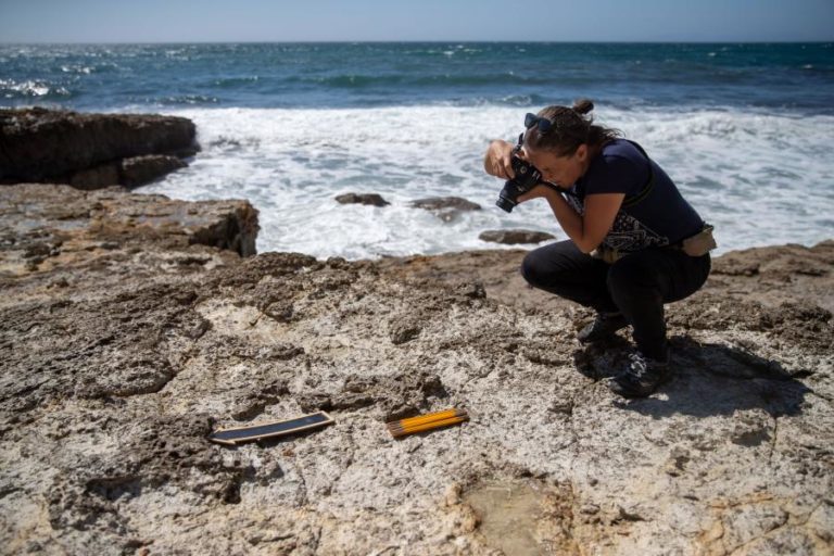 Investigador admite que pode haver ovos de dinossauro no Cabo Espichel