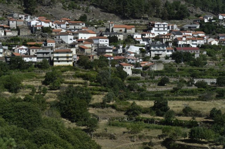 Censos2021: Em Paradela e Granjinha, Tabuaço, vive-se da agricultura e das reformas
