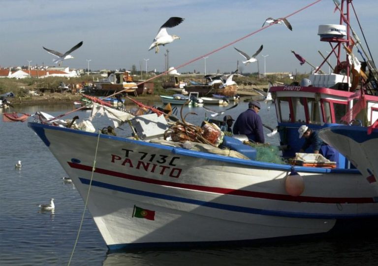 Pescadores de Tavira criticam interdição de captura de canilha