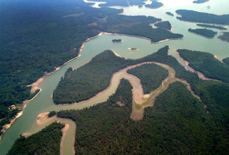 Floresta amazónica está a tornar-se uma fonte de CO2 – estudo