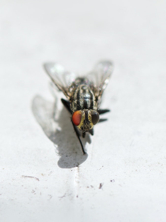 FOTO: UNSPLASH FOTO: UNSPLASH