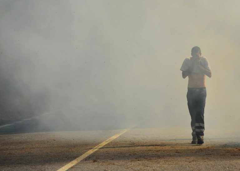 Incêndios: Quase 150 operacionais combatem fogo no concelho de Azambuja