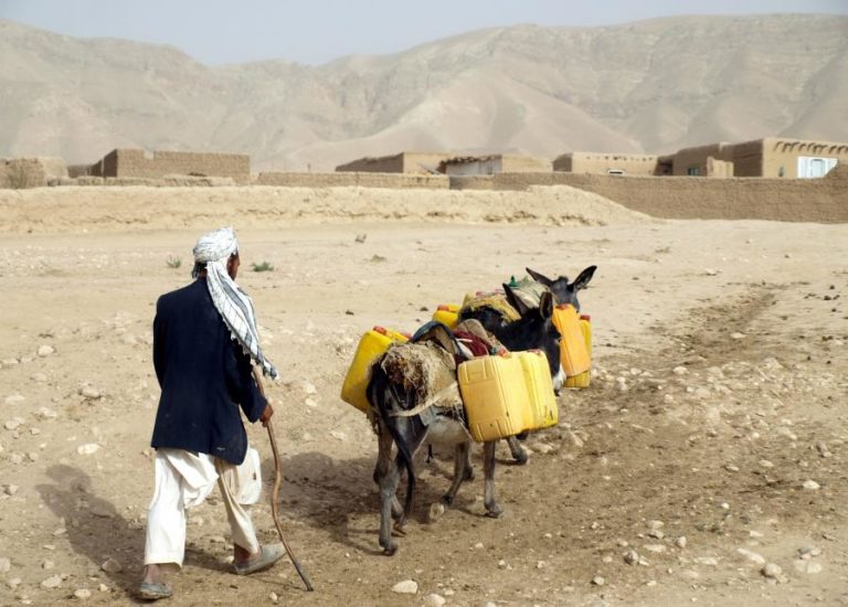 ONU apela a doadores para ajudar Afeganistão a enfrentar seca