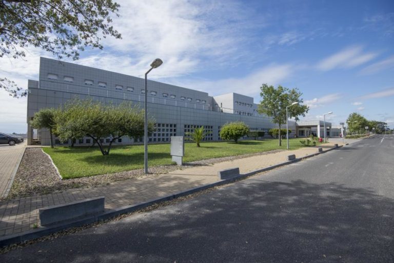 Festival A Estrada propõe descoberta da serra ao mar em Santiago do Cacém